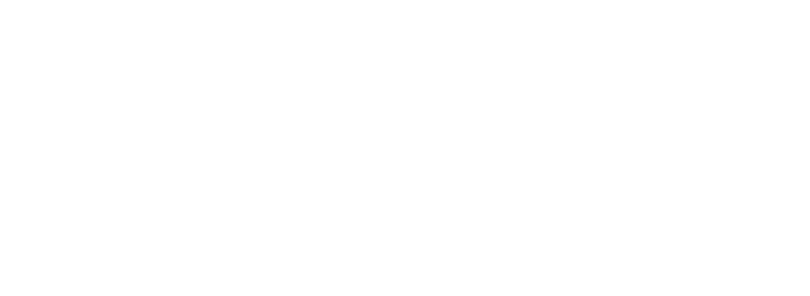 Lips Aannemers logo